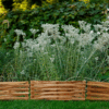 Bois pour clôture de jardin