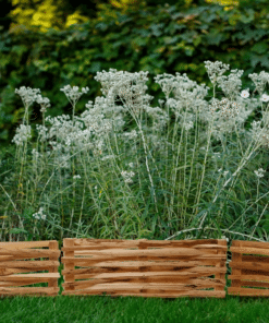 Bois pour clôture de jardin