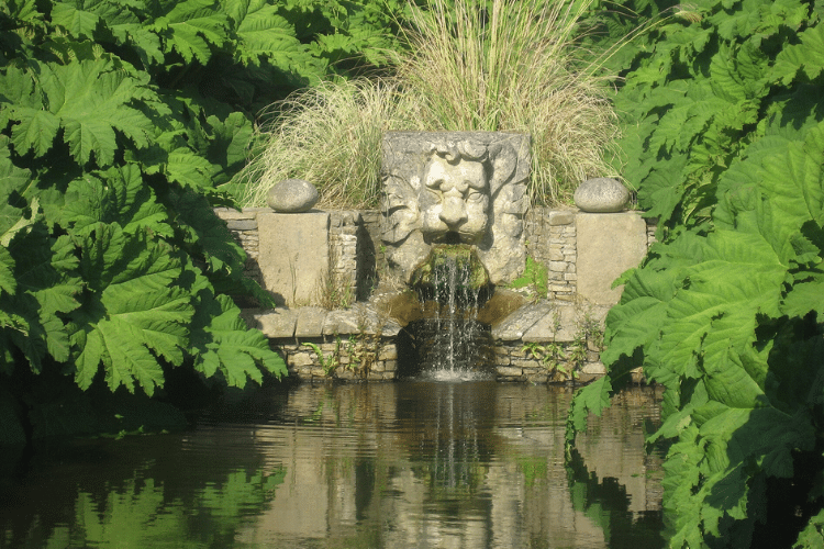 JARDIN BOTANIQUE DE VAUVILLE