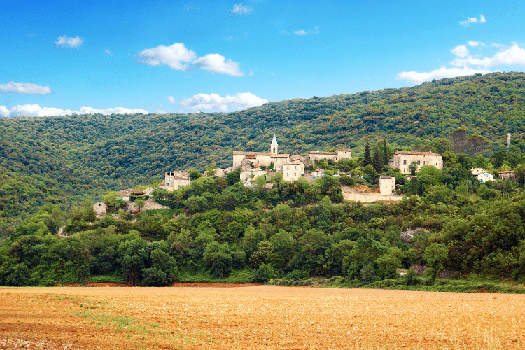 Jardins botaniques d'Occitanie