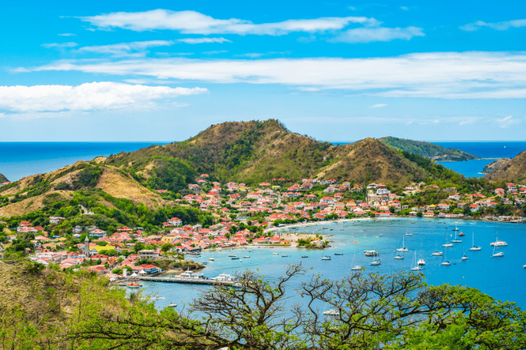 Jardins botaniques de Guadeloupe