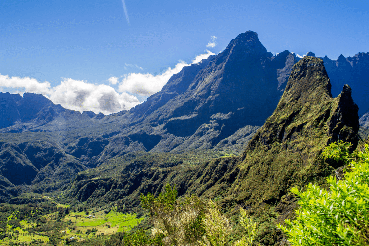 Jardins botaniques de La Réunion