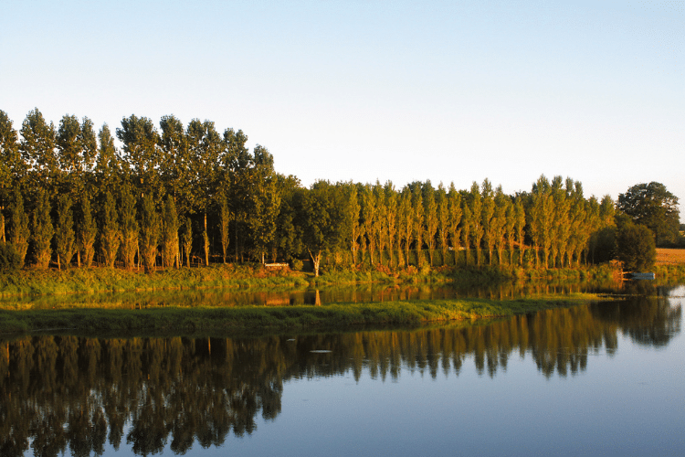 Jardins botaniques des Pays de la Loire