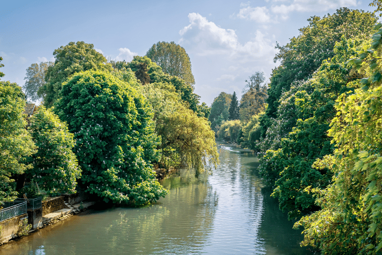 Jardins botaniques du Val-d’Oise