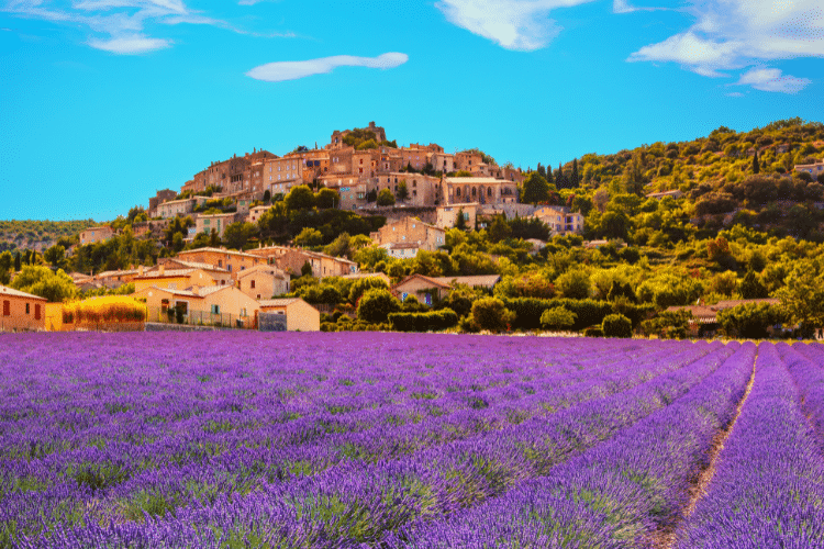 Jardins botaniques en Provence-Alpes-Côte d'Azur