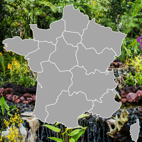 Liste complète des jardins botaniques en France