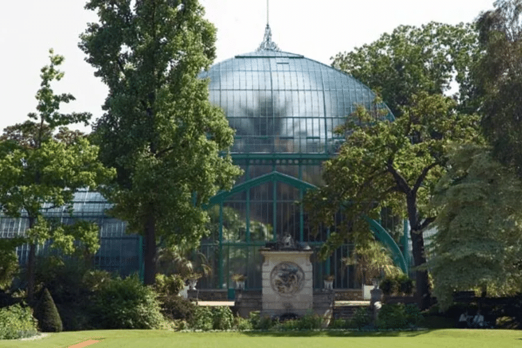 Palmarium extérieur - JARDIN DES SERRES D'AUTEUIL (jardin botanique de la ville de Paris)