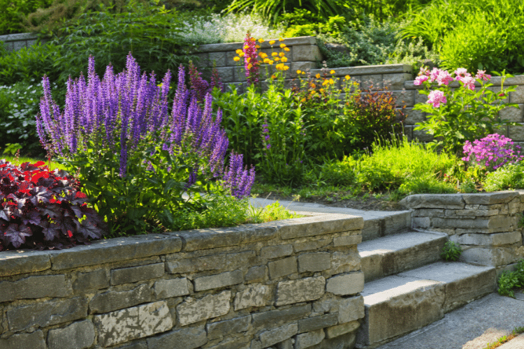 Jardin