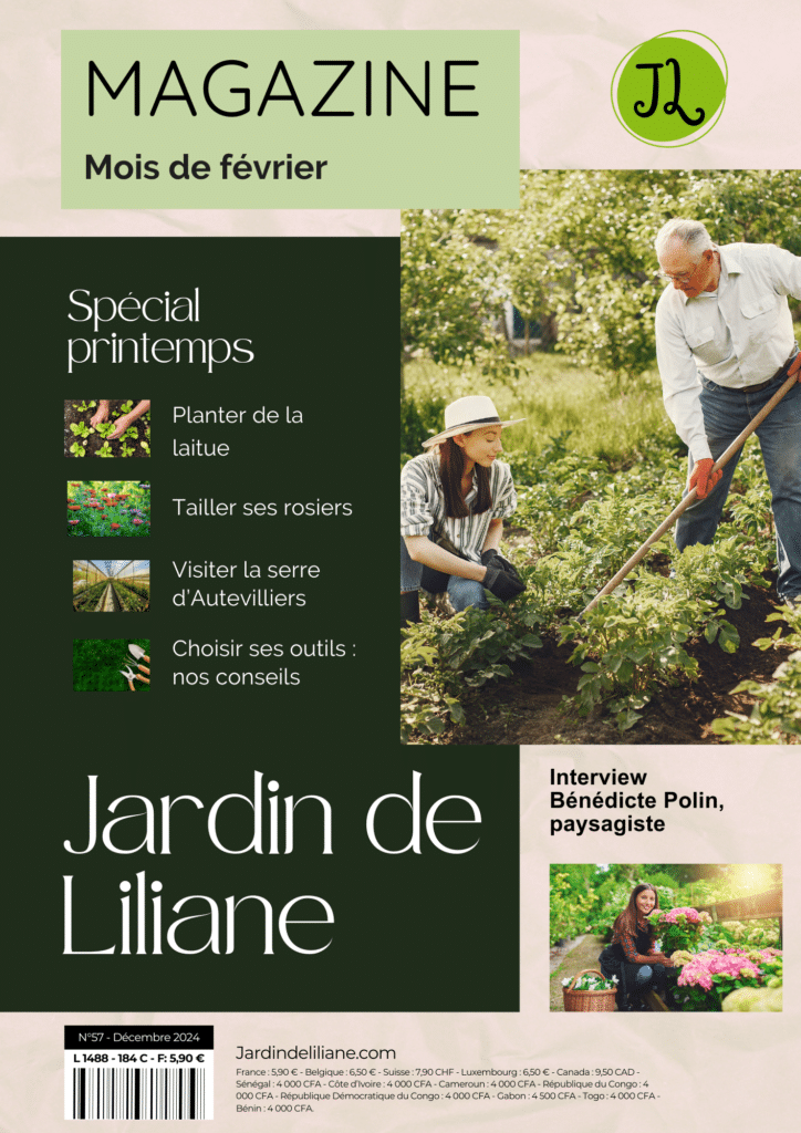 Jardin de Liliane - Magazine