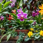 participez à une célébration inoubliable de la biodiversité lors de notre fête des plantes dans l'oise. découvrez des espèces végétales uniques, échanger des conseils avec des experts et plongez dans l'univers fascinant du jardinage. ne manquez pas cette occasion de vous immerger dans la nature et d'élargir vos connaissances botaniques !