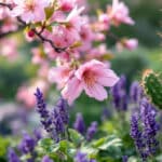 plongez dans l'univers fascinant du jardinage en explorant les plantes emblématiques de chaque nation. apprenez à reconnaître celles que vous avez peut-être déjà chez vous et découvrez leurs secrets pour un jardin épanoui.