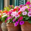 découvrez notre sélection des meilleures plantes pour créer un balcon fleuri tout l'été. profitez de nos conseils pour choisir des fleurs qui embelliront votre espace extérieur et attireront les pollinisateurs.