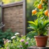 découvrez des méthodes efficaces pour éloigner les chats de votre jardin tout en préservant leur bien-être. des astuces simples et naturelles pour protéger vos plantes et créer un espace agréable sans déranger nos amis félins.