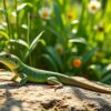 découvrez dans ce guide complet tout ce qu'il faut savoir sur l'alimentation des lézards de jardin : types de nourriture, conseils pratiques et astuces pour leur bien-être.