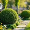 découvrez des astuces efficaces et naturelles pour empêcher les chats de faire leurs besoins dans votre jardin et protéger vos plantes facilement.
