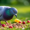 découvrez ce que mangent réellement les pigeons dans nos jardins, leurs aliments préférés et comment ils trouvent leur nourriture au quotidien.